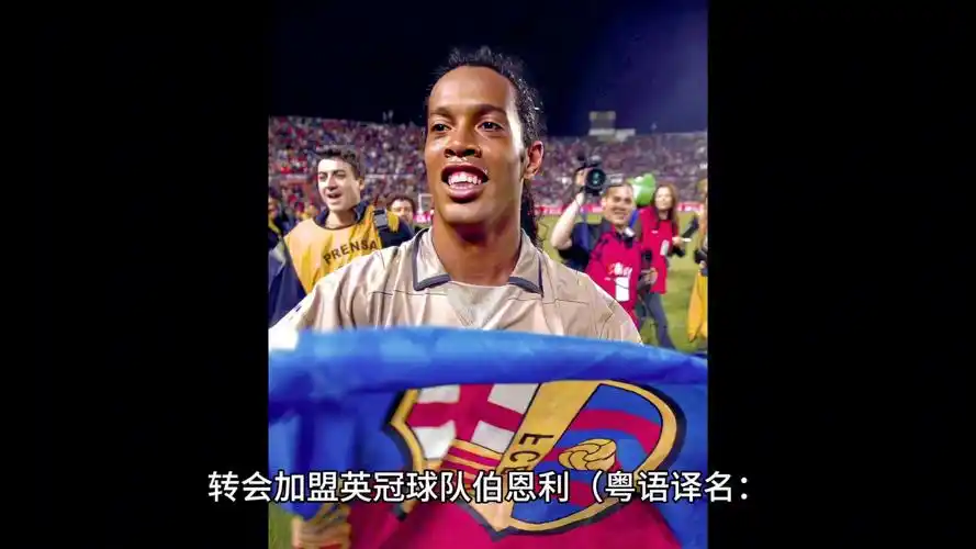 得了无数球 得了无数球