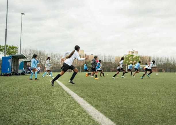 山东泰山的 山东泰山的